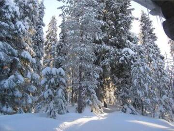 Фото номера Дом для отпуска Дома для отпуска Holiday Home Vuokatinportti a 11 г. Lahdenperä 18